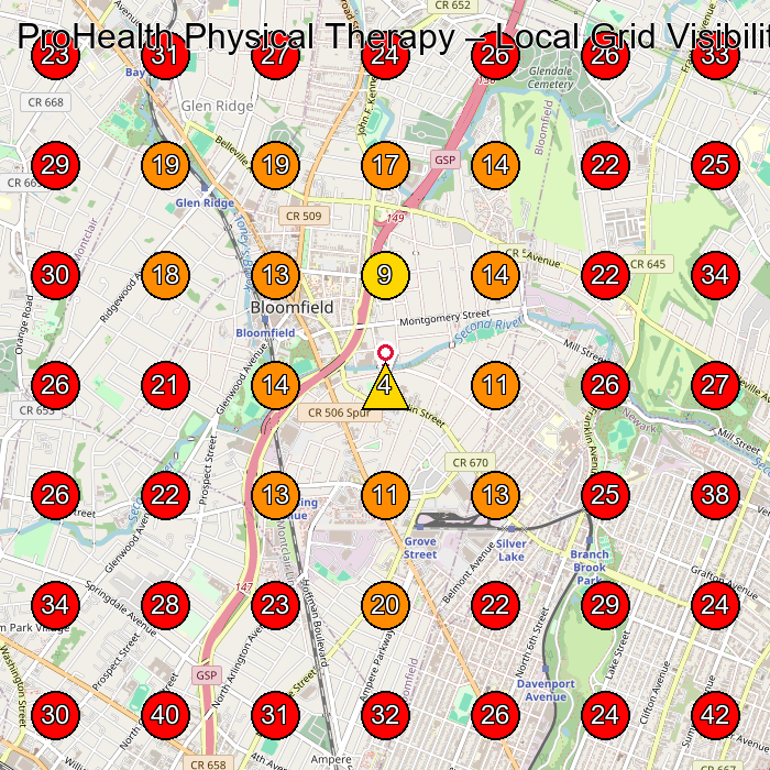 ProHealth Physical Therapy GeoGrid visibility map for Physical Therapy Clinic in Newark